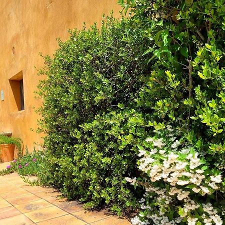 Masia Para Grupos Con Piscina Privada28 Pax Cabanelles Exteriör bild