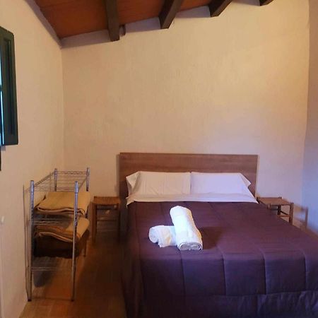 Masia Para Grupos Con Piscina Privada28 Pax Cabanelles Exteriör bild